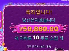 스위트보난자 빅윈