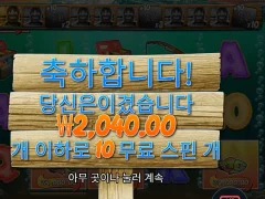 빅배스보난자 1000 2콩 배팅 결과
