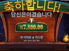 카우보이코인스 텐션 올리자