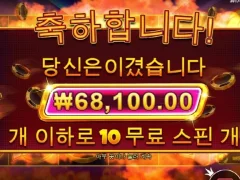 캐시칩스 10스핀 7콩