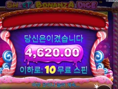 스위트보난자 바닥