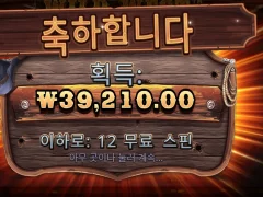 와일드웨스트골드 12스핀 총 좀 쏘네
