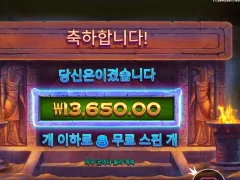 프라그마틱 나일 포준