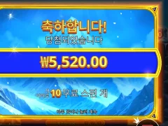 프라그마틱 히말라얀와일드 후기