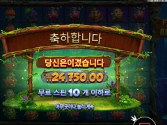 후르츠오브더아마존 120배