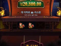 카우보이코인스 텐션 올리자