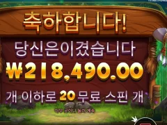 릴리즈더바이슨 20스핀 먹고빠질게