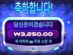 그래비티보난자 바닥 짱나네