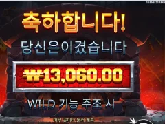 포징와일드 세판째