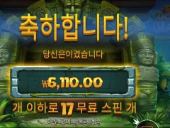 엑시엔트아일랜드 이게 아닌데