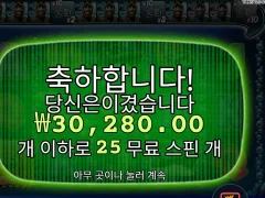 미션피싱 25스핀 후기