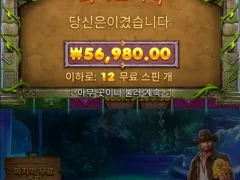 버뮤다리치스 빅윈