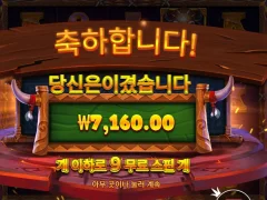 와일드 바이슨 차지 노잼슬롯
