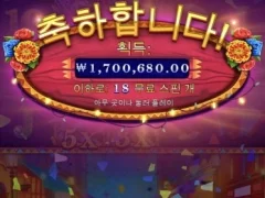 핫피에스타 200배