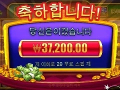 캐시박스 20스핀 쏘쏘한 배당