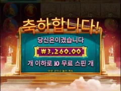 아테나 10스핀 바닥