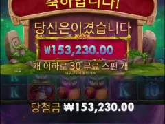 멀린 빅윈