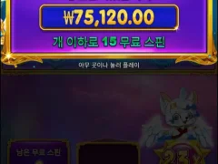 공주천 첫판