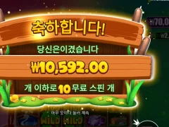 타이니토드 10스핀