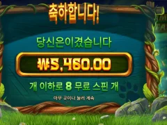 팀버스택스 접어야하나