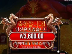 덕분에 점심 굶을게 슬리핑드래곤