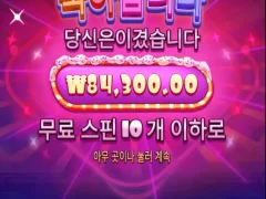 슈가천 빅윈