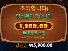프라그마틱 개집 바닥