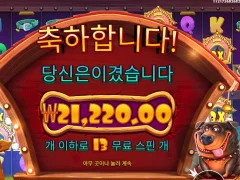 더도그하우스 멀티홀드 13스핀