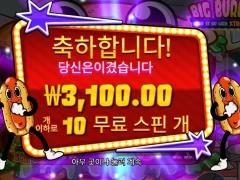 빅버거 3천원