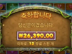 버뮤다리치스 12스핀 26천원