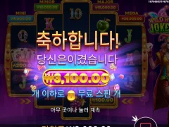 와일드 와일드 조커 접음