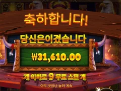 온라인슬롯 와일드바이슨차지