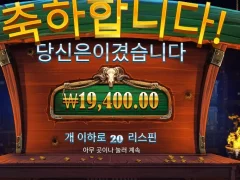 카우보이코인스 20바퀴 낫배드