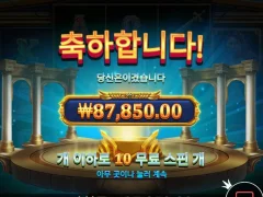 메두사스톤 8콩