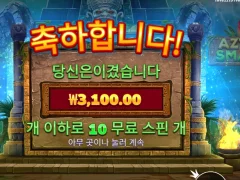 아즈텍스매시 바닥