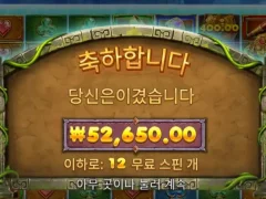 버뮤다리치스 12스핀 5콩