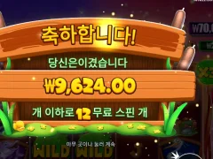 타이니토드 12스핀 텐션 올려