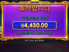 공주천 연속구매