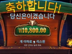 카우보이코인스 텐션좀 올려라
