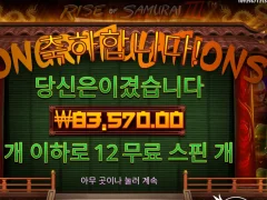 온라인슬롯 라이즈 오브 사무라이3