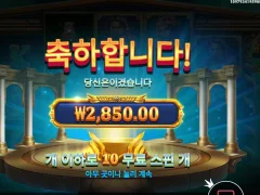 메두사스톤 10스핀 바닥