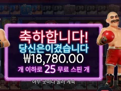 복싱보너스라운드 25스핀