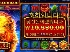 스탬피드 달려보자