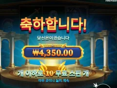 메두사스톤 10스핀 바닥