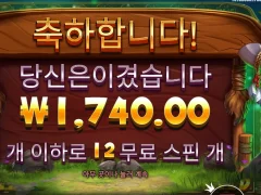 릴리즈 더 바이슨 12바퀴