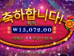 핫피에스타 평타