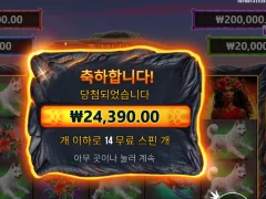 볼케이노 가데스 후기