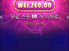 슈가러쉬 빅윈