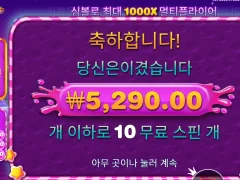 스위트 보난자라며