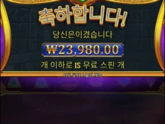 올푸 슈퍼구매
